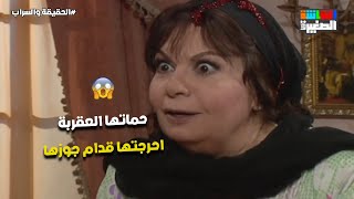 حماتها العقربة مش عاجبها العجب وقررت تحرجها قدام جوزها😡#الحقيقة_والسراب