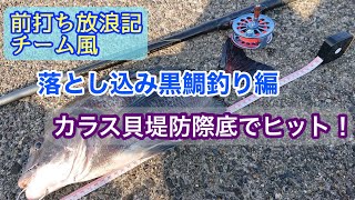 R3/6  落とし込みクロダイ　四日市一文10年振りに渡堤嬉しい釣果！