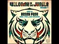 welcome to the jungle vol. 4 continuous dj mix