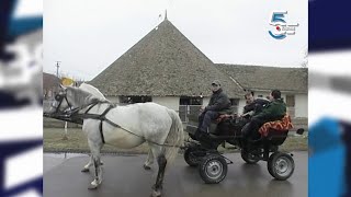 Suvača, stari mlin na konjski pogon