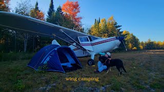 vintage airplane wing camping with my dog (trip two, solo female traveler)