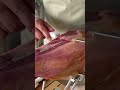 Jamón Iberico 100% Bellota Cinco Jotas #jamón