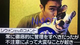 ＳＵＰＥＲ　ＪＵＮＩＯＲ・シウォンの愛犬がかんだ女性死亡…ツイッターで謝罪