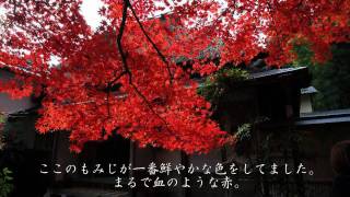 2010年紅葉の京都に行ってきた(18)【護法堂弁財天～直指庵】