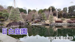 【4K】豊島区立目白庭園・冬の日本庭園（2023年1月15日）