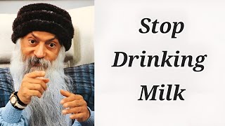 Say NO to Milk | Osho on Milk | English |