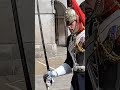 Blues and royals change over#horseguardsparade