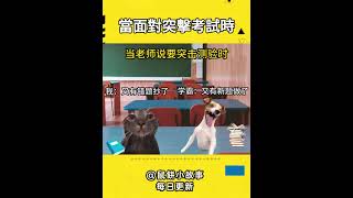 當面對突擊考試時 #cat#貓meme #故事#對話#真實#meme