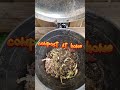 horse manure to plants making compost with kitchen waste. australia horsemanure compost gardening