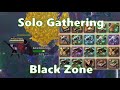 Solo Gathering Black Zone Vol.135 - Albion Online