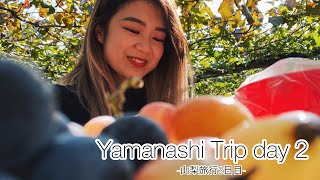 【Vlog#02】GOTOトラベルで山梨旅行　1泊2日旅行part②