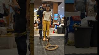 Fearless girl challenges to escape from cobra