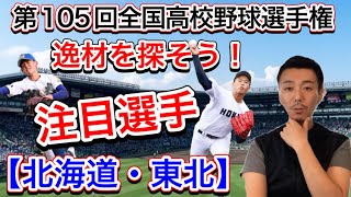 【注目選手①】北海道・東北（青森・秋田・岩手・宮城・山形・福島）地区編【第105回全国高校野球選手権大会】