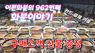 1월 9일 #이쁜화분 962번째 화분이야기 (구매고객 선물 증정)