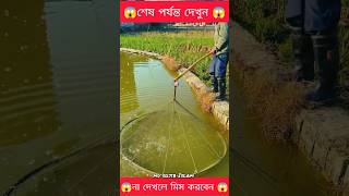 😱😱 দেখুন বন্ধুরা ছেলেটা কিভাবে কতগুলো মাছ একসাথে ধরলো 😱😱 #shorts #short