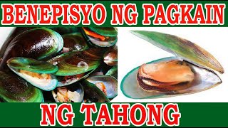 Health Benefits of Eating Mussels || Benepisyo ng Pagkain ng Tahong