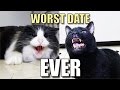 Talking Kitty Cat 38 - Worst Date Ever