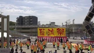 日本福祉大学 夢人党 第11回有松村藍流まつり「舞りゃ～せ」第1部演舞