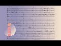 Emre Sihan Kaleli - Seventeen Thoughts on a Chamber Concerto [w/ score]