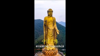 《中原大佛》位于河南省平顶山市鲁山县赵村乡上汤佛泉寺，是世界上最高的佛教造像。大佛高208米，用黄金108公斤，合金铜3300公斤，特殊钢材15000吨。