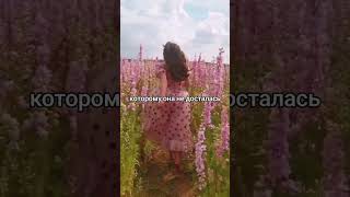 Слухи и сплетни о женщине #мудрость #женщина #отношения #психология