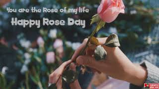 Feb 7 - Rose Day | WhatsApp status Video | Daily Status | Romantic Status | Valentine Week
