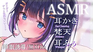 【ASMR/黒3Dio】ゆっくりでも刺激的な耳掃除で奥までザクザクASMR(EarCleaning/Brahma/Whisper)【吉花こころ/VTuber】#asmr