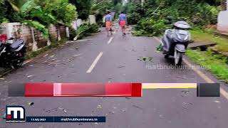 നോർത്ത് പറവൂർ തത്തപ്പിള്ളിയിൽ ശക്തമായ കാറ്റിൽ വൻ നാശനഷ്ടം | Mathrubhumi News