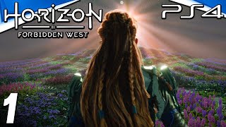 Horizon Forbidden West PS4 Gameplay Walkthrough - Part 1
