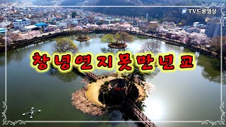 [EP.333] 창녕연지못/만년교/드론영상/인기동영상/Korea 🇰🇷