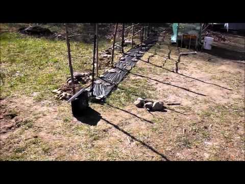 Setting Up Solar Electric Fence To Protect Chickens From Raccoons Setting Up Solar Electric Fence To Protect Chickens From Raccoons