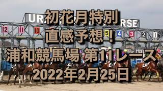 初花月特別 直感予想！ 浦和競馬場  第11レース 2022年2月25日