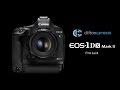 Canon EOS 1Dx Mark II at Clifton Cameras