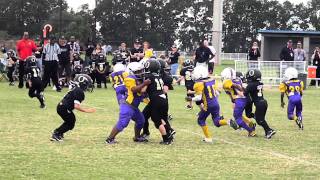 2011 SE AYF REGIONAL CHAMPIONSHIP