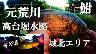 【元荒川、高台堀水路餌釣り】【利根川＆荒川水系、バス、コイ、雷魚、ナマズ、フナ、クチボソ、餌釣り、フィシング、魚、埼玉、さいたま市、城北エリア】