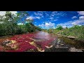 Caño Cristales Meta Colombia