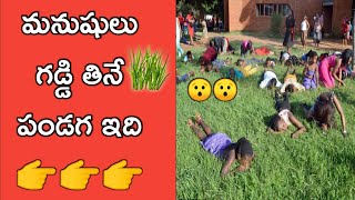 మనుషులు గడ్డి తినే పండగ ఇది #shorts #facts