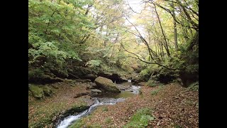 秋保温泉から二口渓谷・姉滝まで