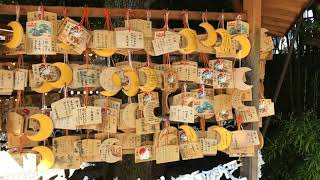 【神社・お寺めぐり】阿佐ヶ谷「神明宮」（東京）杉並区