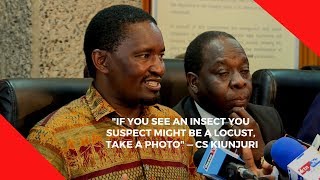 If you see an insect you suspect might be a locust, take a photo — CS Kiunjuri