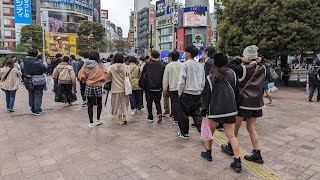 【高画質FHDお散歩ライブカメラ】渋谷　散歩　Shibuya walking【live camera】