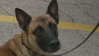 K9 Unit Grant Competition