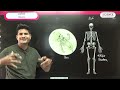 class 5 science skeletal system railway group d 2025 विराट batch   neeraj sir विराट_batch