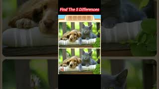 Find The 5 Differences | Can You Spot It #shorts #youtubeshorts | #viral  Spot The Diffrence #short