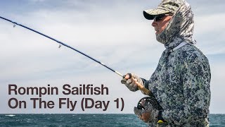 Rompin SAILFISH ON FLY (Day 1 with Barry, Jason and Lyall)