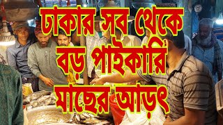 যাত্রাবাড়ী মাছের আড়তে মাছের দাম জানুন / সস্তায় মাছ কিনুন / Biggest fish market in Dhaka | My Life