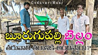 The Process Of Making Jaggery In Burugupalli  బెల్లం తయారి West Godavari  By Godavari Muni