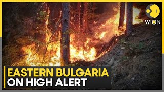 Bulgarian regions battling with fire | Alarm over soaring temperature | Latest English News | WION