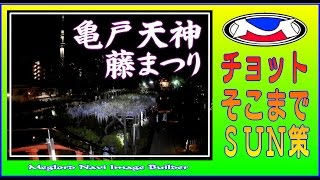 2017亀戸天神　藤まつり