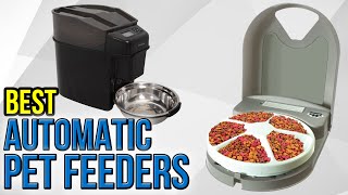 10 Best Automatic Pet Feeders 2017